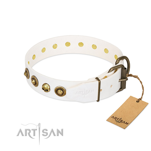 Full grain natural leather collar with unusual decorations for your doggie