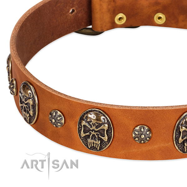 Corrosion proof fittings on natural genuine leather dog collar for your dog