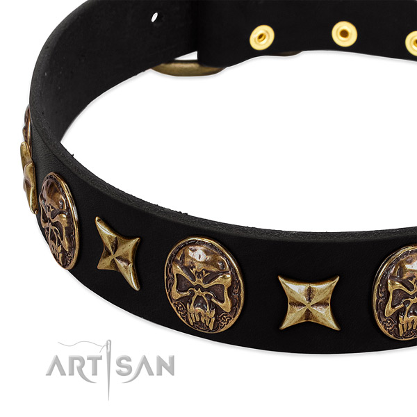 Strong embellishments on natural genuine leather dog collar for your four-legged friend