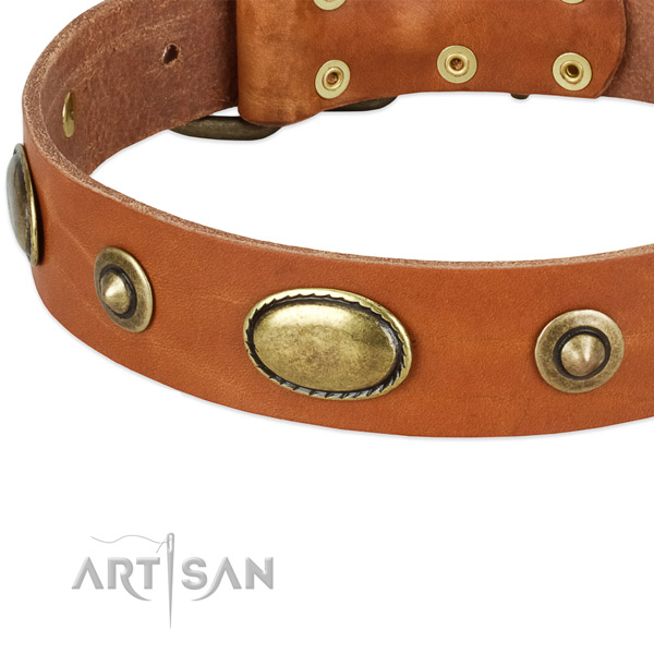 Strong adornments on genuine leather dog collar for your pet