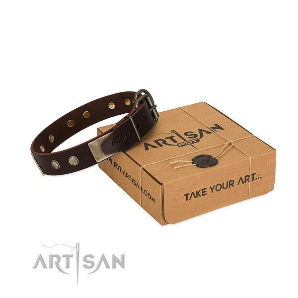 Rust resistant traditional buckle on dog collar for daily use