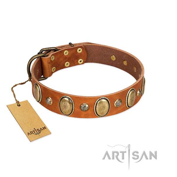Leather dog collar of soft material with trendy adornments