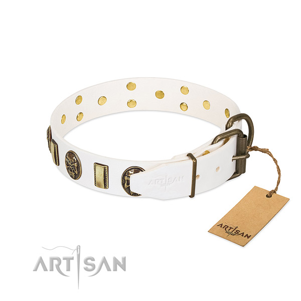 Reliable traditional buckle on full grain genuine leather collar for daily walking your canine