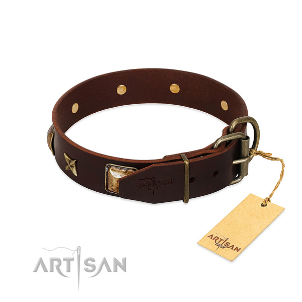 Leather dog collar with corrosion proof D-ring and adornments