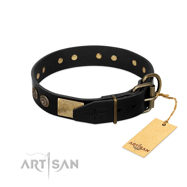 Corrosion resistant adornments on full grain natural leather dog collar for your four-legged friend