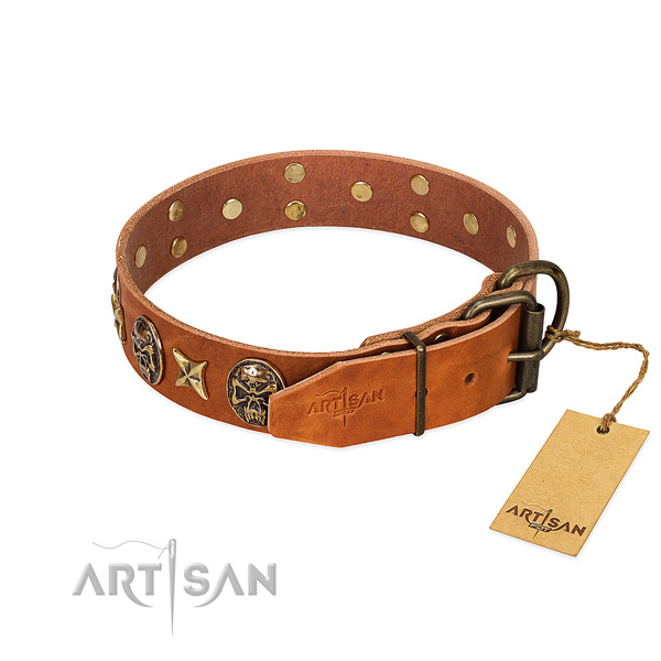 Genuine leather dog collar with strong traditional buckle and embellishments