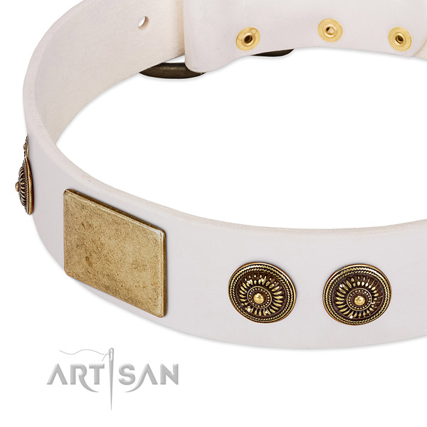 Comfortable dog collar created for your beautiful four-legged friend