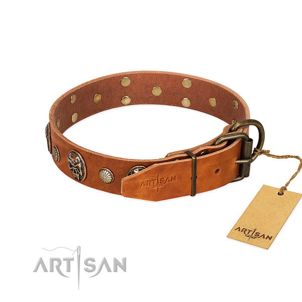 Reliable D-ring on natural genuine leather collar for basic training your four-legged friend