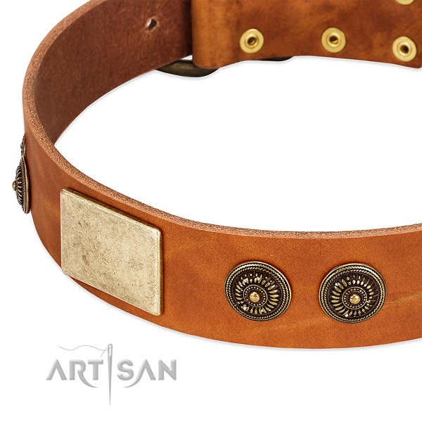 Trendy dog collar made for your stylish doggie