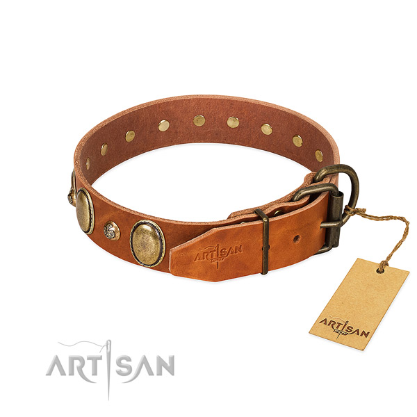 Reliable fittings on leather collar for everyday walking your dog
