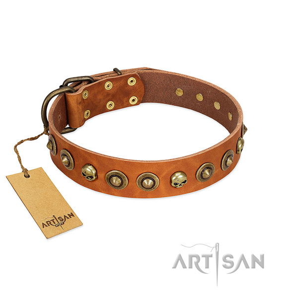 Full grain leather collar with stylish design studs for your dog