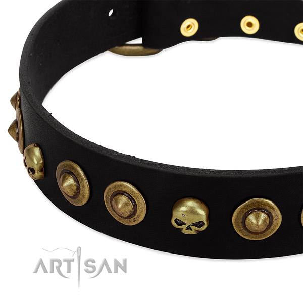Leather dog collar with stylish adornments