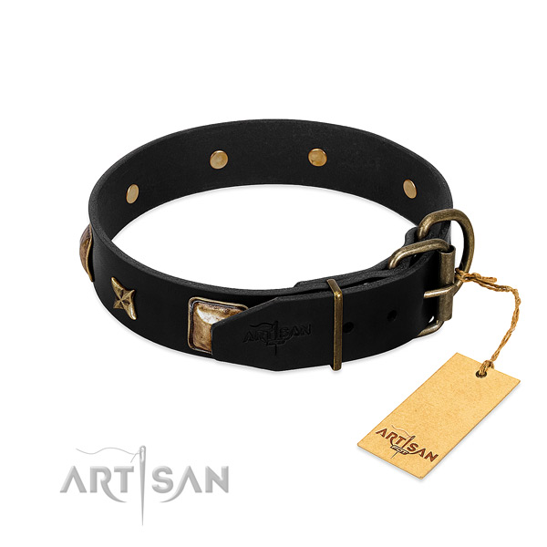 Corrosion proof buckle on leather collar for walking your canine