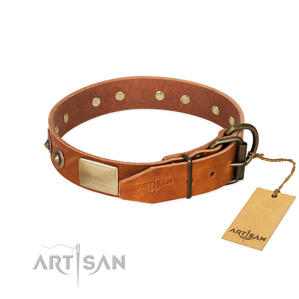 Rust-proof embellishments on stylish walking dog collar