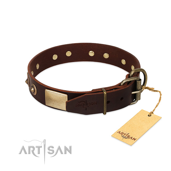 Rust resistant fittings on everyday walking dog collar