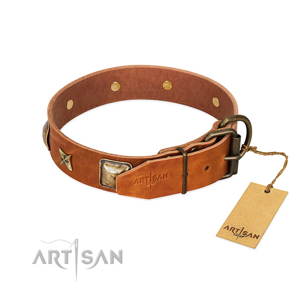 Genuine leather dog collar with durable hardware and adornments