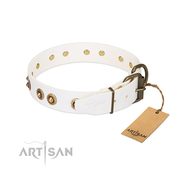 Corrosion resistant adornments on genuine leather dog collar for your doggie