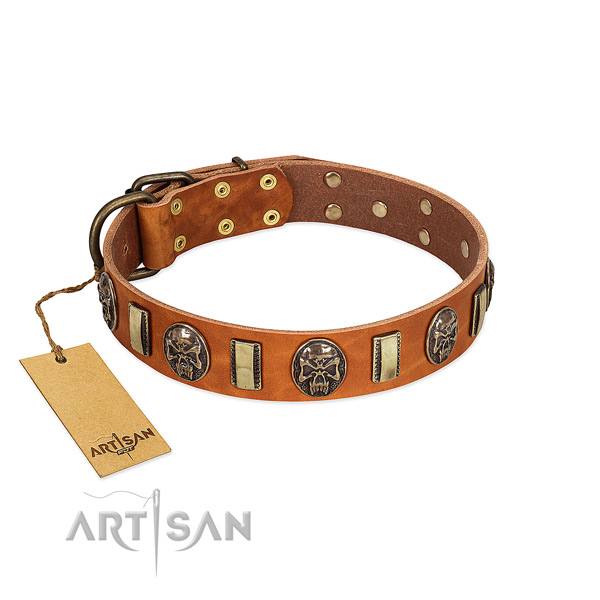 Inimitable genuine leather dog collar for walking