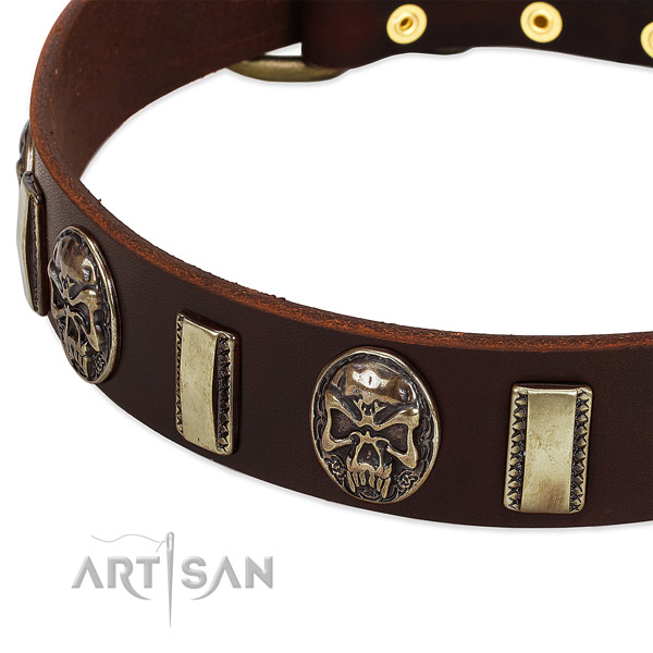 Rust resistant buckle on leather dog collar for your canine