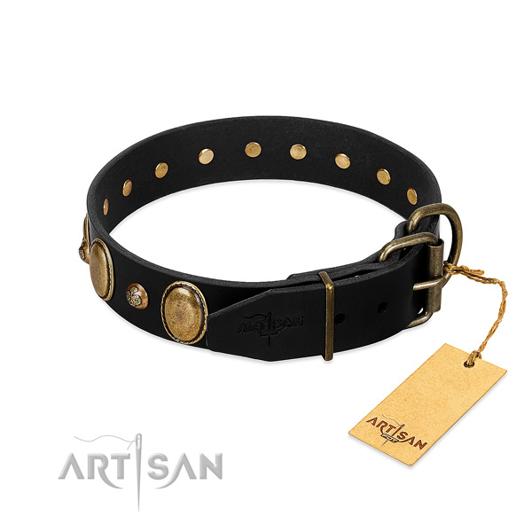 Rust resistant fittings on natural genuine leather collar for fancy walking your canine