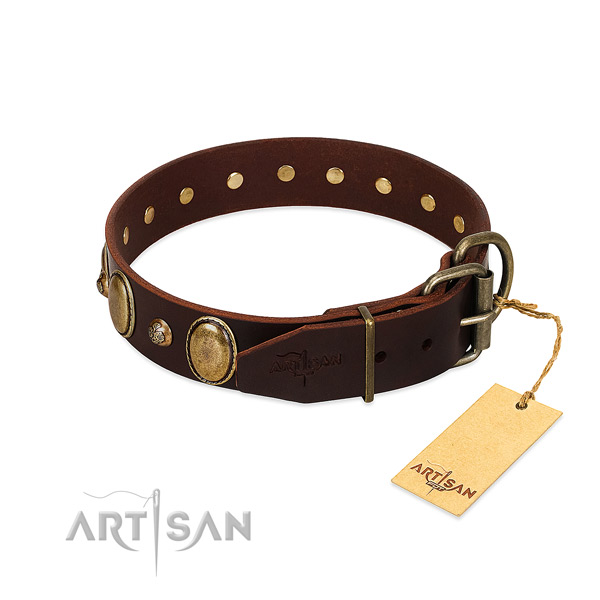 Strong traditional buckle on leather collar for walking your four-legged friend