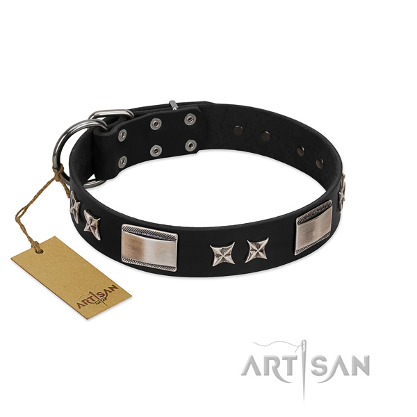 Exquisite dog collar of natural leather