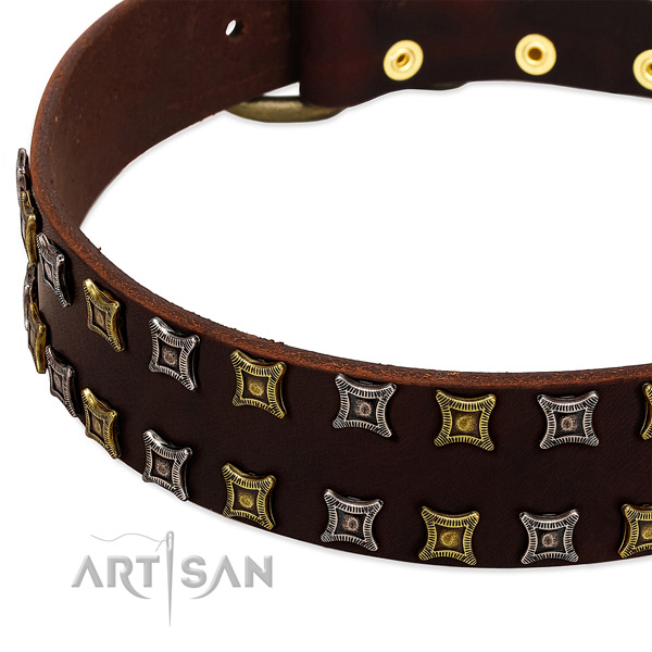 Quality leather dog collar for your impressive doggie