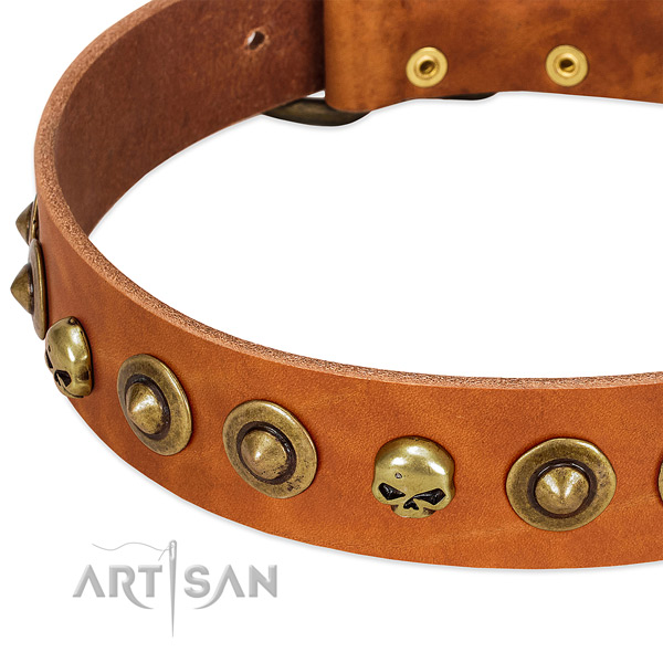 Designer decorations on full grain leather collar for your doggie
