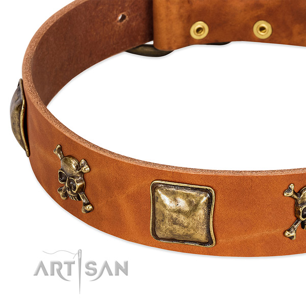 Amazing studs on natural leather collar for your doggie
