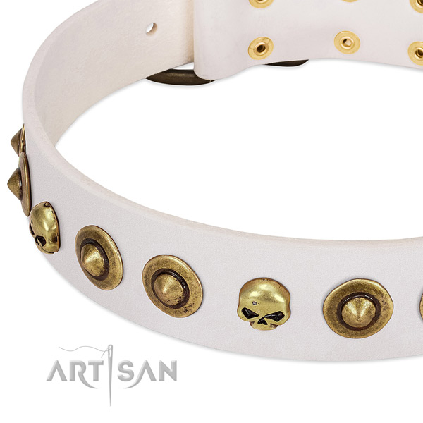 Awesome embellishments on leather collar for your doggie