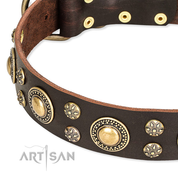 Adjustable leather dog collar with resistant rust-proof fittings