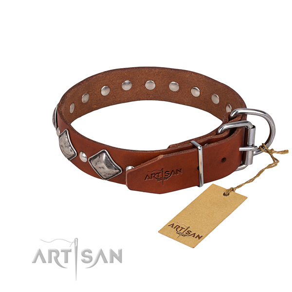 Durable leather dog collar with corrosion-resistant details