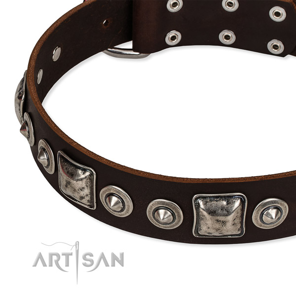 Easy to use leather dog collar with extra strong non-rusting buckle