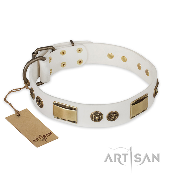 Exquisite design embellishments on full grain natural leather dog collar