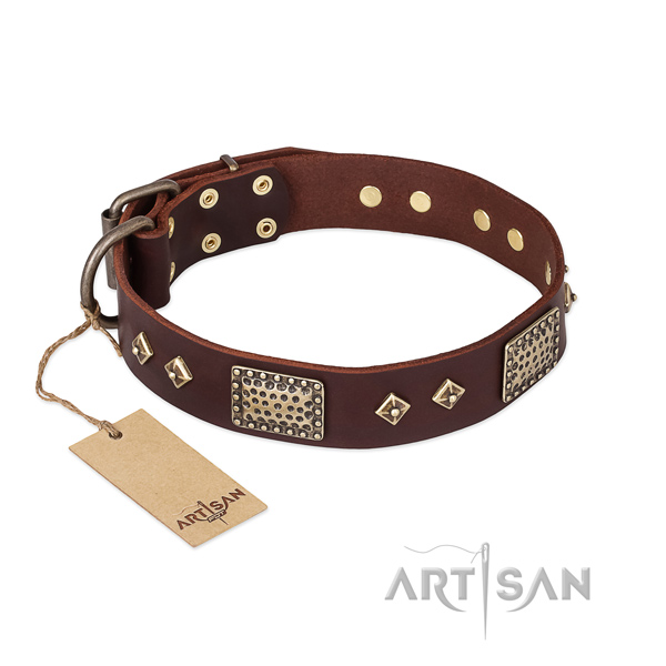 Unique design adornments on leather dog collar