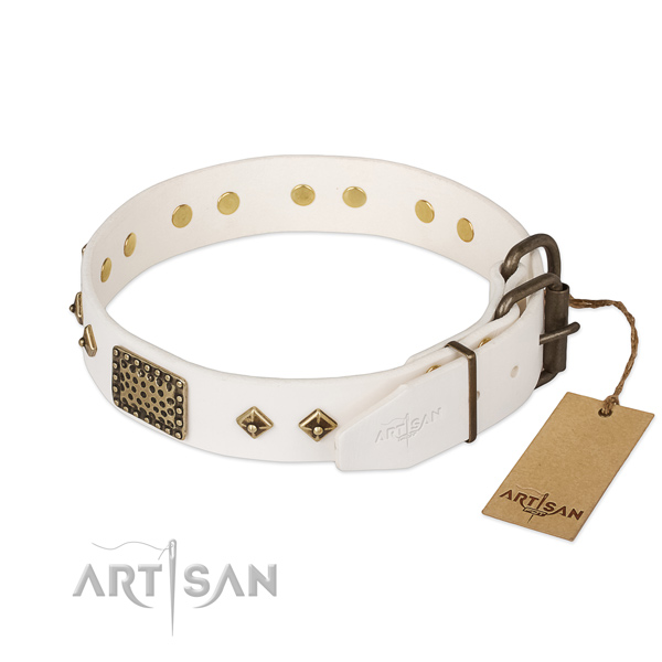 Everyday use full grain leather collar with adornments for your doggie