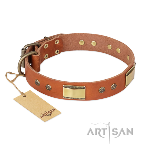 Stunning design adornments on full grain genuine leather dog collar