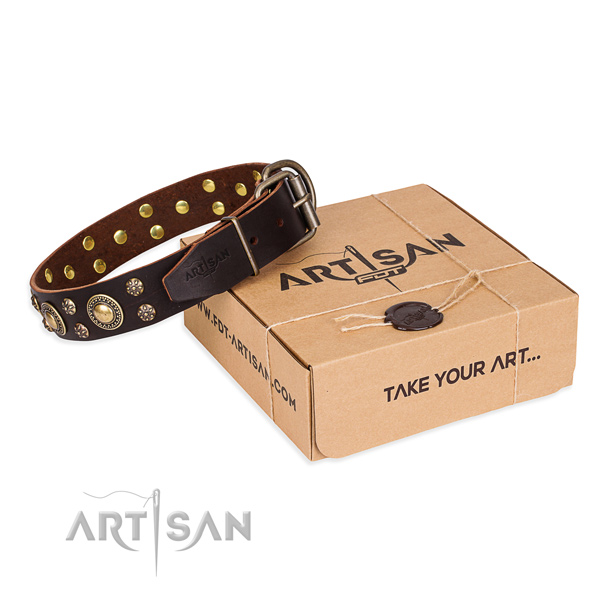 Day-to-day leather dog collar with luxurious adornments