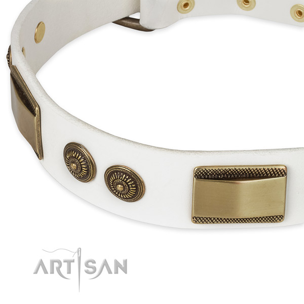 Daily use leather collar with strong buckle and D-ring