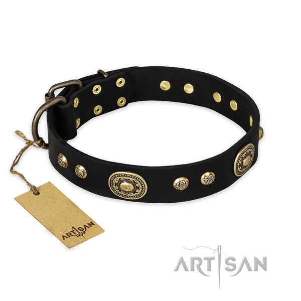 Stylish walking leather collar with decorations for your canine