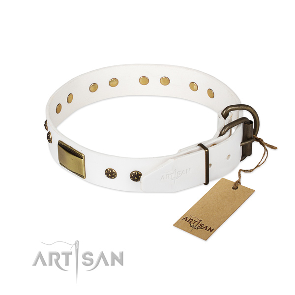 Everyday use leather collar with embellishments for your four-legged friend