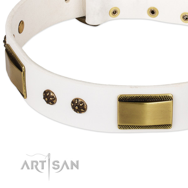 Daily walking leather collar with corrosion resistant buckle and D-ring