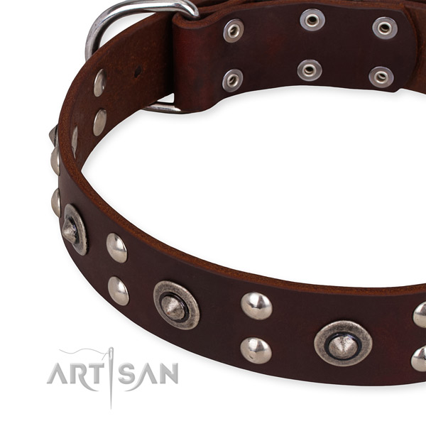 Easy to adjust leather dog collar with resistant to tear and wear brass plated hardware
