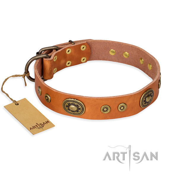 Long-lasting leather dog collar with rust-resistant elements