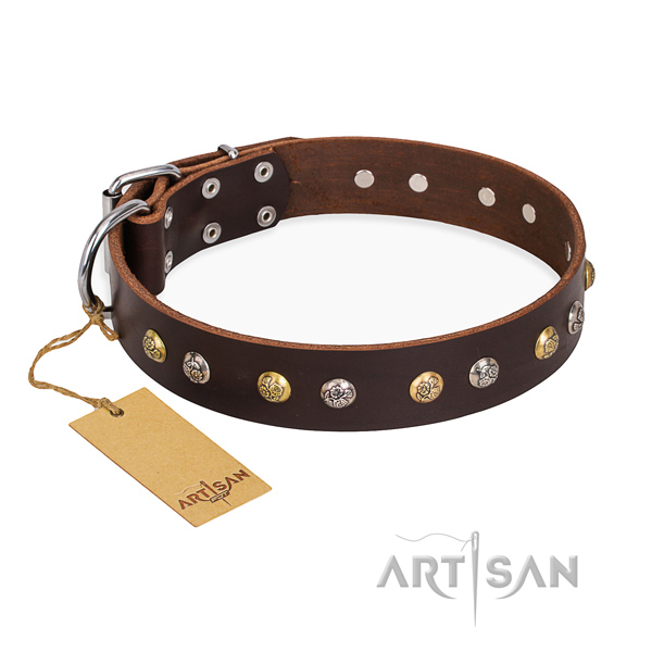 Awesome design adornments on full grain natural leather dog collar
