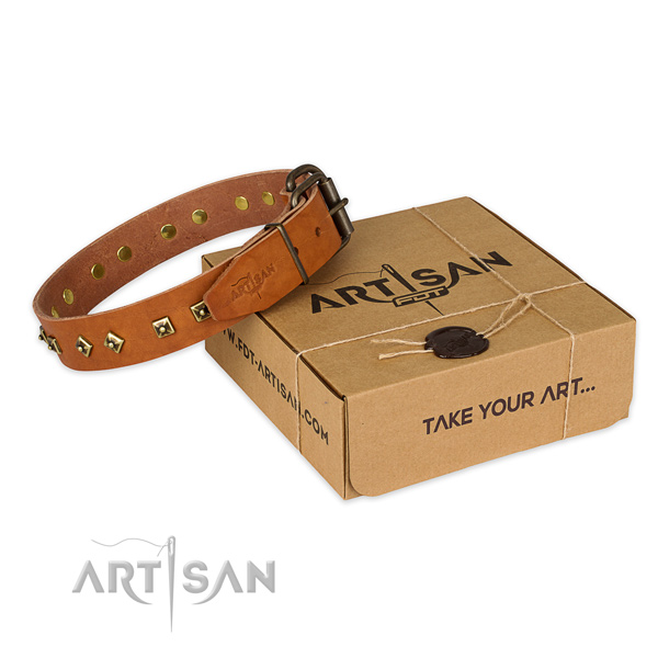 Top notch full grain genuine leather dog collar for walking in style