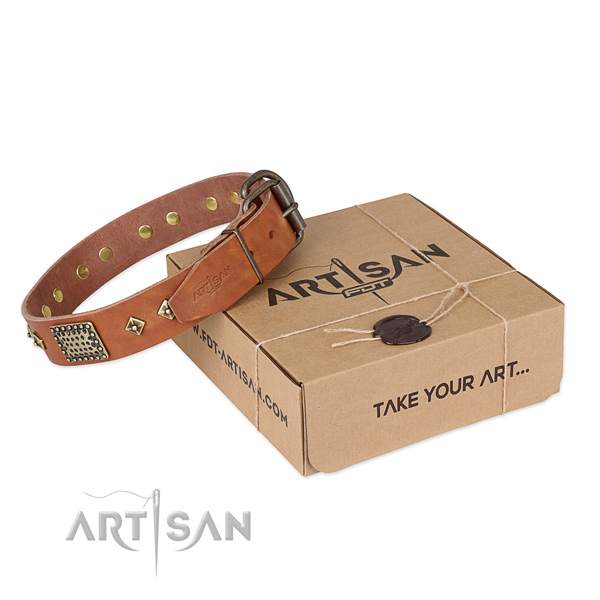 Awesome full grain genuine leather dog collar for walking