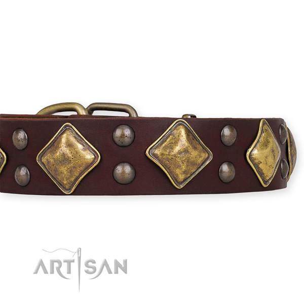 Quick to fasten leather dog collar with extra strong non-rusting buckle and D-ring