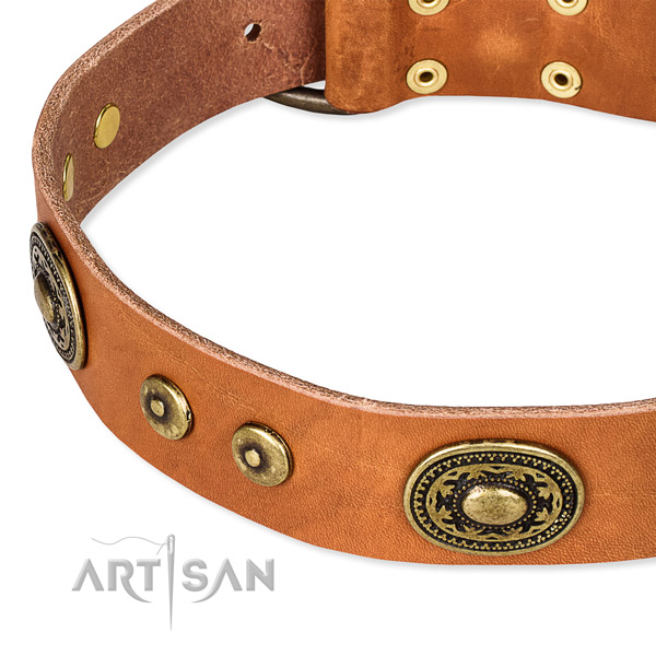 Quick to fasten leather dog collar with almost unbreakable rust-proof fittings