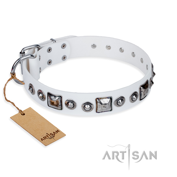 Long-wearing leather dog collar with durable details